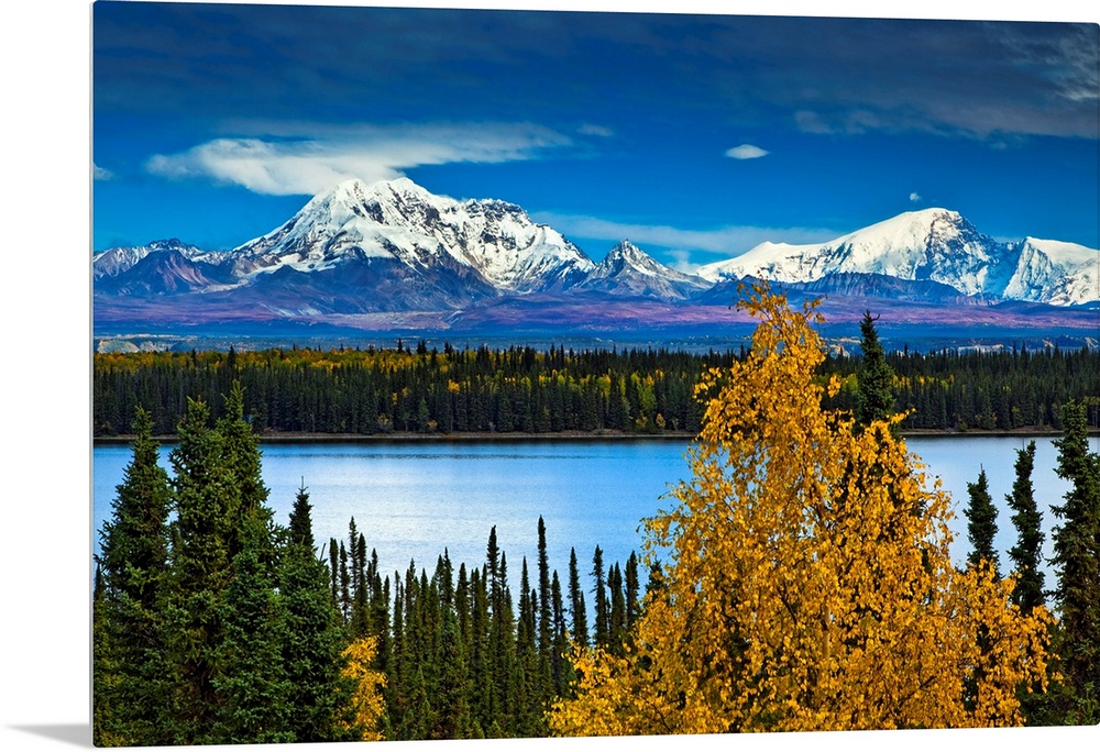 Huge photograph showcases a thick forest occupied with an abundance of trees surrounding a lake.  In the background there ...