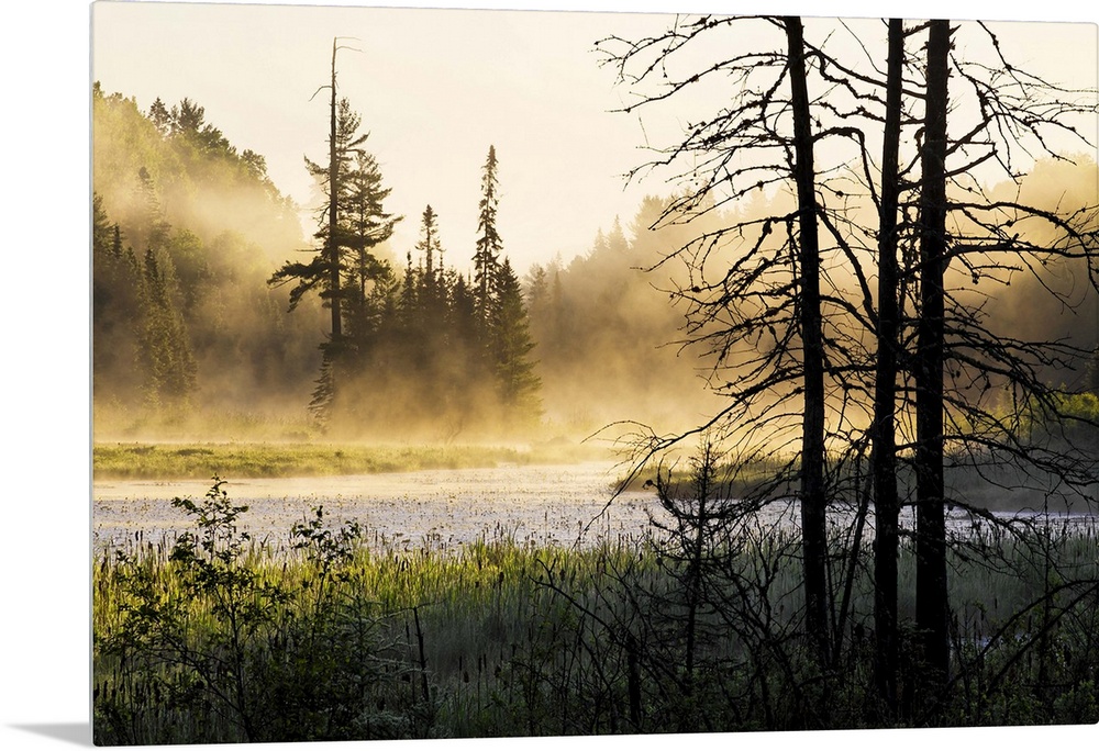 Big photo on canvas of a forest landscape covered in fog and bathed in various places with warm sunlight.