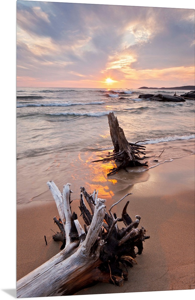 Pastel scene of two large pieces of sea bleached driftwood, lining up with the setting sun as shallow waves form in the oc...