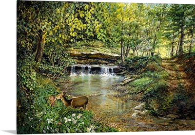 Landscape with Deer