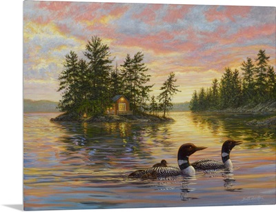 Tranquil Evening - Loons