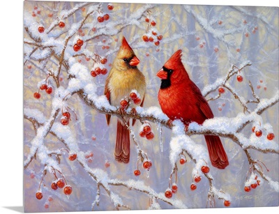 Winter Joy - Cardinals