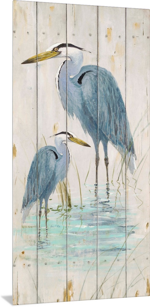 Blue Heron Duo