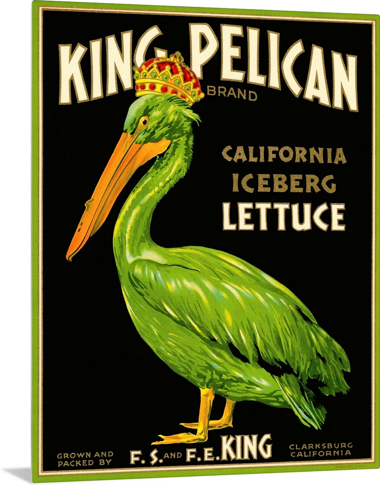 King Pelican Brand Lettuce