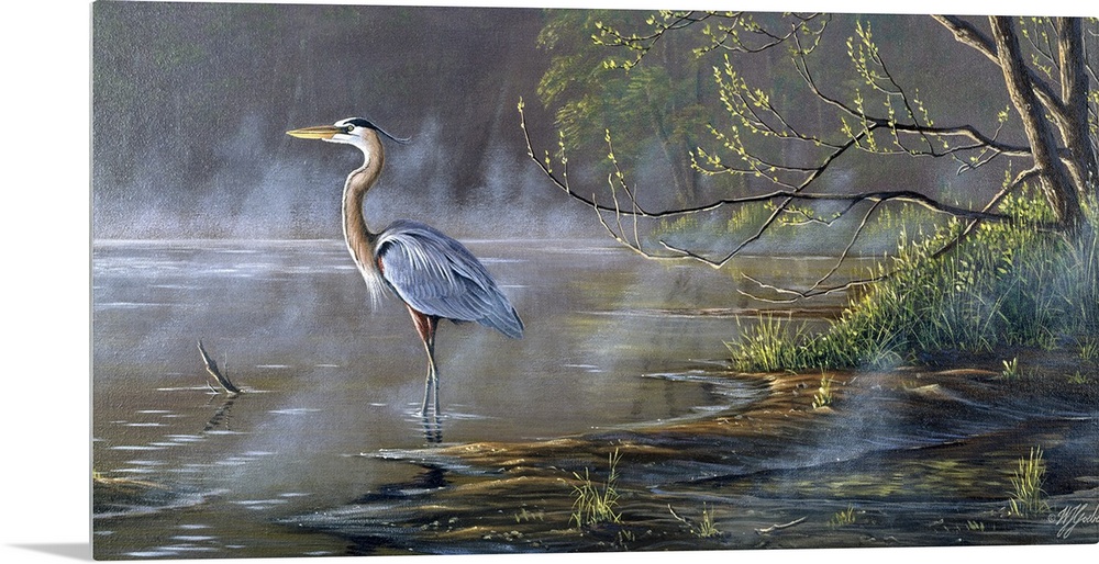 Great blue heron in a pond.