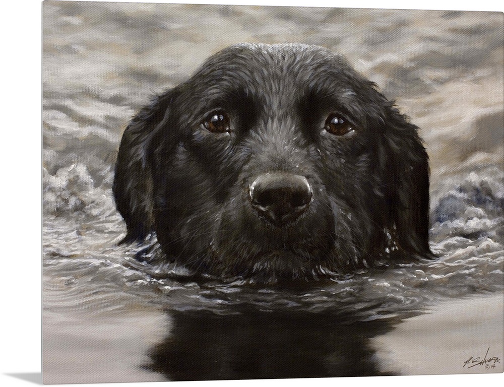 Contemporary painting of a black Labrador retriever swimming.