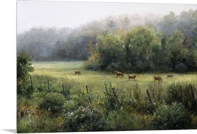 Vermont Pasture