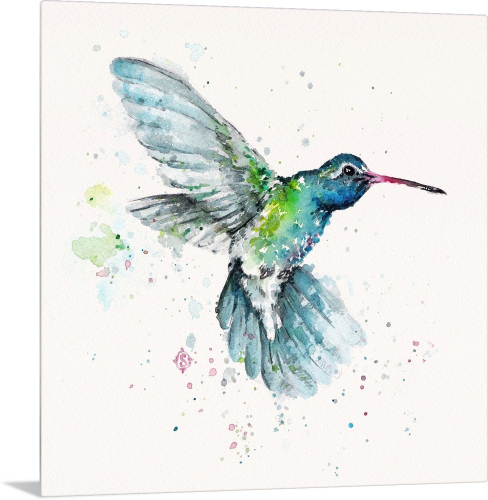 Hummingbird Flurry