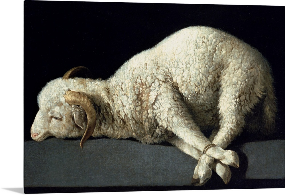 XIR154905 Agnus Dei, c.1635-40 (oil on canvas) by Zurbaran, Francisco de (1598-1664); Prado, Madrid, Spain; Spanish