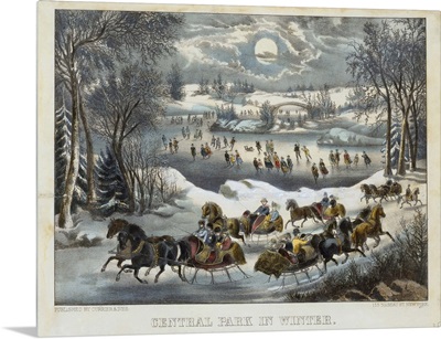 Central Park In Winter