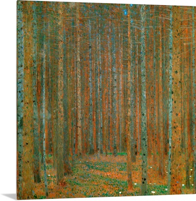 Fir Forest I, 1901