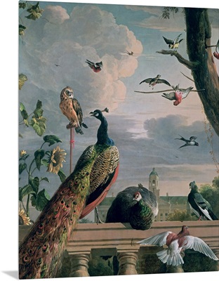 Palace of Amsterdam with Exotic Birds