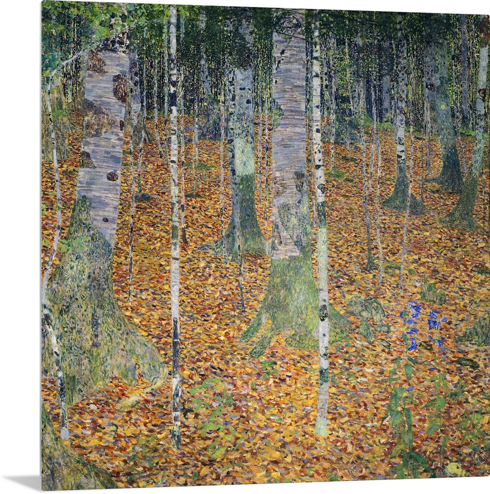 A square, modern art painting of a forest floor covered with leaves and moss covered birch trees.