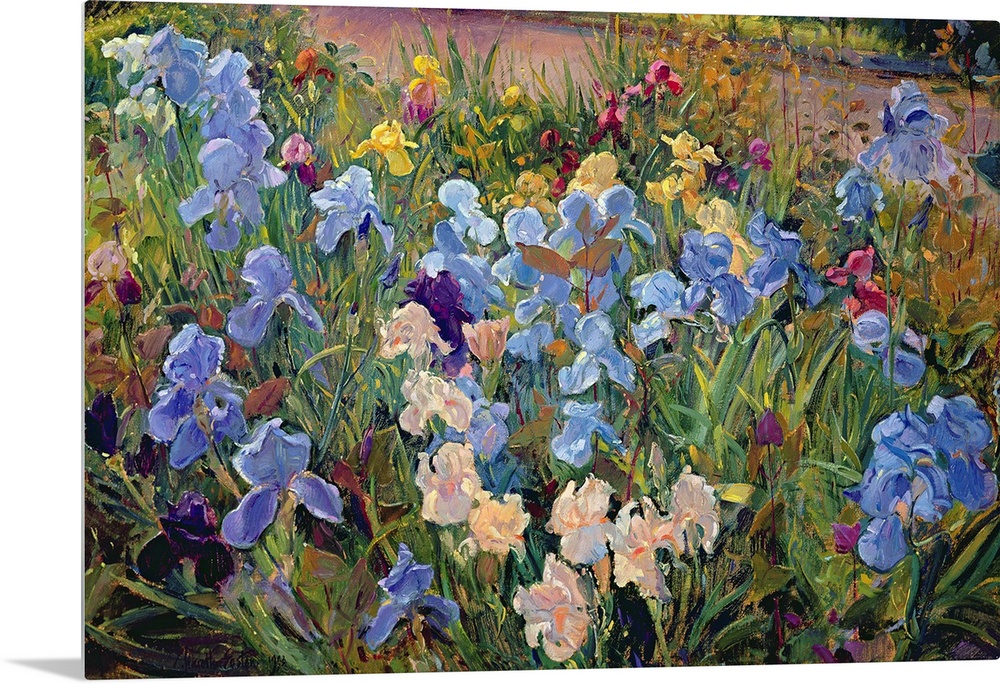 A realistic photograph of a variety of multicolor irises growing beside a road in spring.