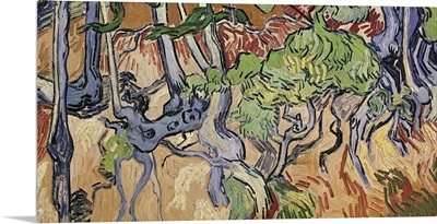 Tree roots, 1890
