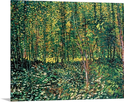 Trees and Undergrowth, 1887