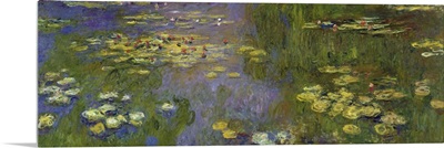 Water Lilies, Detail