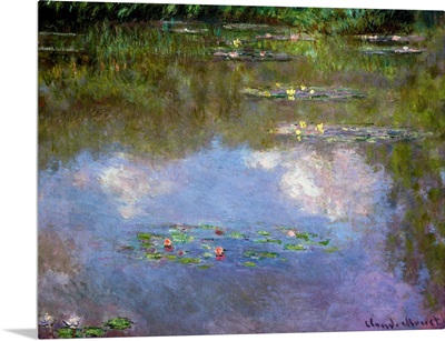 Water Lilies, The Cloud