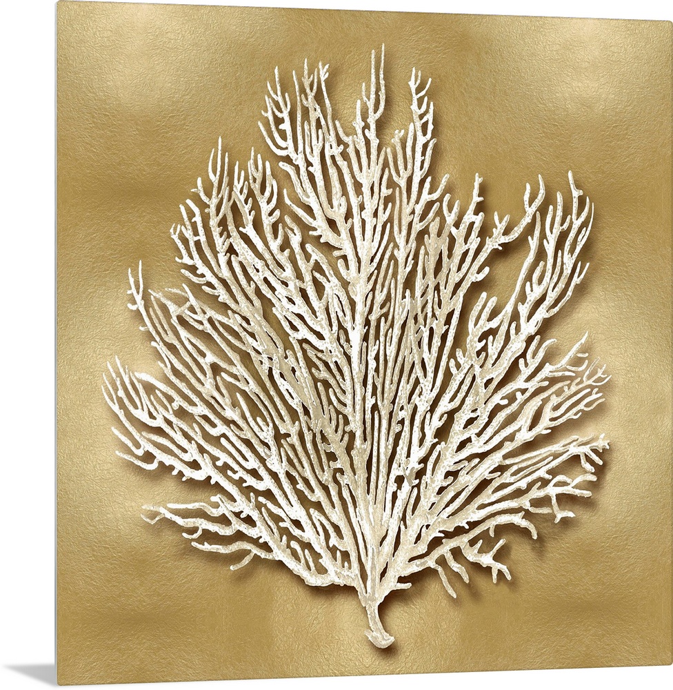 Square beach decor with white coral on a gold background.
