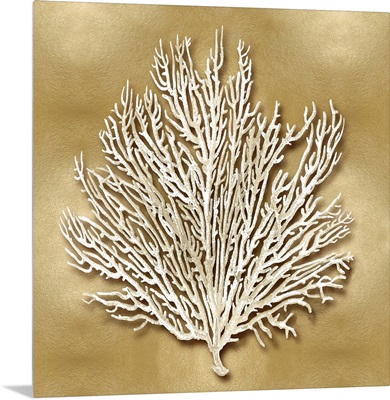 Sea Fan on Gold I