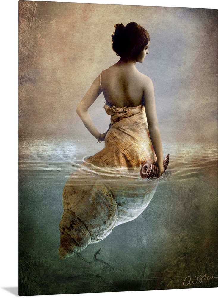 Conceptual art of a woman who is half shell, floating in water.