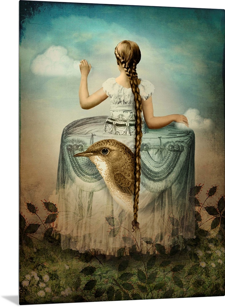 A lady with a long braid is in a Victorian dress which has a large bird and flowers on it.