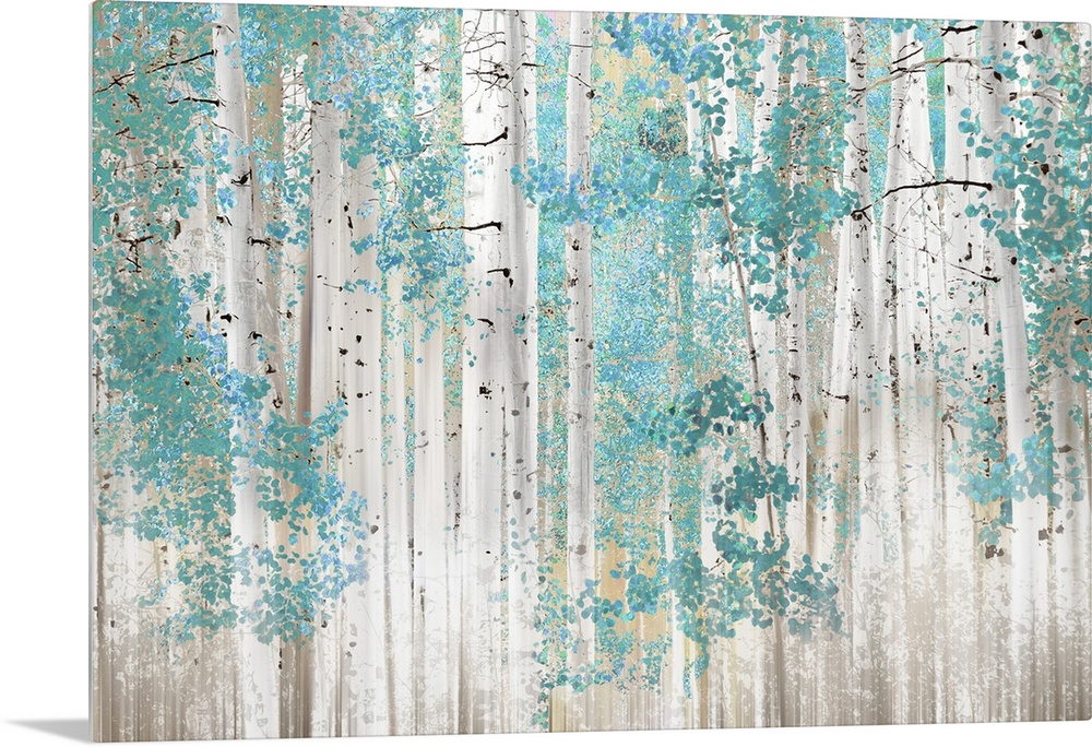 Birch Trees T