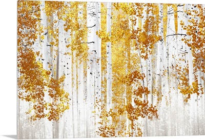 Birch Trees Y