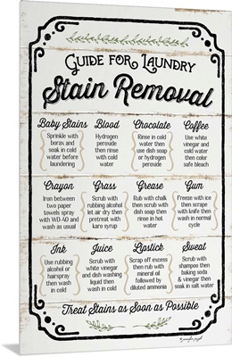 Stain Removal Guide