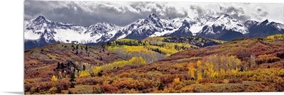 Colorado, San Juan Mountains. Autumn foliage at Dallas Divide