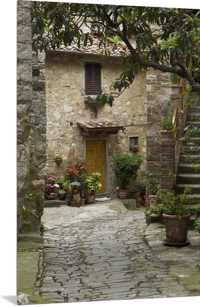 Italy, Tuscany. Quaint village lane in Montefiorale.