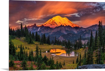 USA, Washington, Mt. Rainier National Park, Mt. Rainier At Sunrise