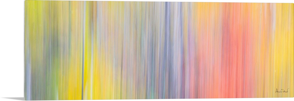 Slow motion color pattern of trees and Fall colors in Riding Mountain National Park, Manitoba, Canada.