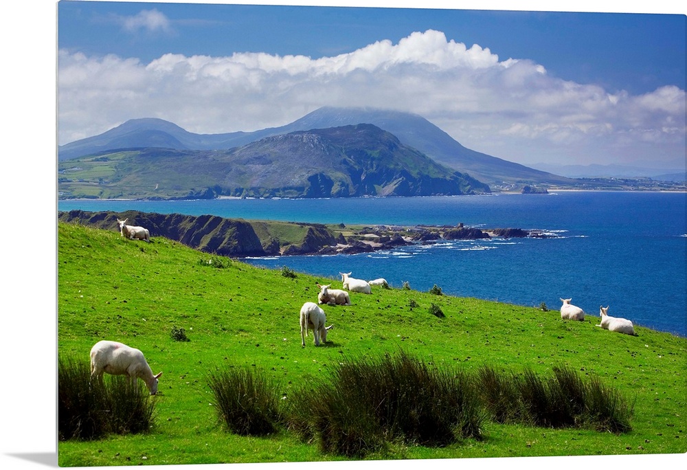 Ireland, Donegal, Inishowen Peninsula, landscape near Pollan Bay