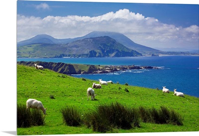 Ireland, Donegal, Inishowen Peninsula, landscape near Pollan Bay