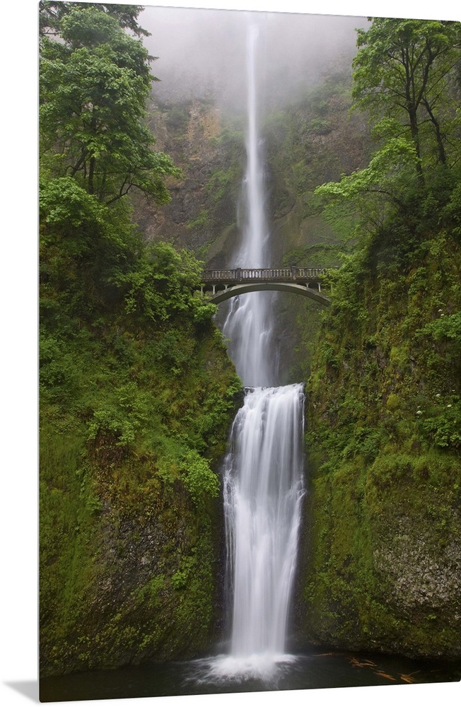 USA, Oregon, Multnomah falls, Columbia River Gorge region.