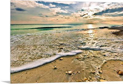 Beautiful Beach Sunset Sea Shells On Beach Picture