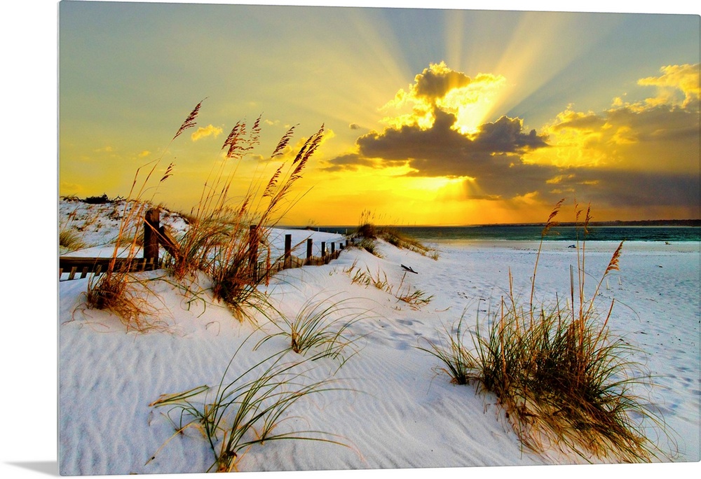 Landscape photograph of a golden beach sunset along a beautiful coast. This golden sunset has magnificent golden light bre...