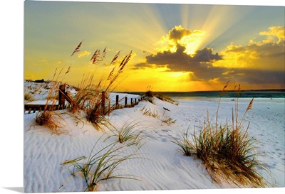 Landscape Photography Beach Golden Sunset