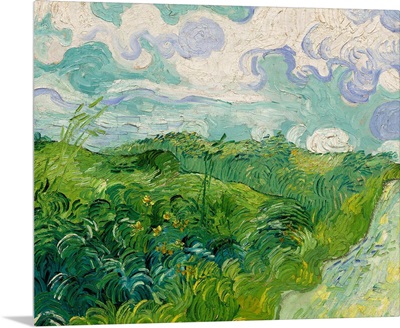 Green Wheat Fields, Auvers, by Vincent van Gogh, 1890