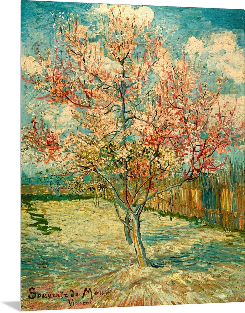Peach Blossoming (Souvenir de Mauve), by Vincent Van Gogh, 1888, 19th Century, oil on canvas, cm 73 x 59,5 - Netherlands, ...