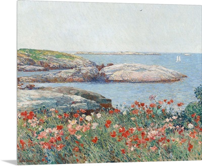 Poppies, Isles of Shoals, America, by Childe Hassam, 1891