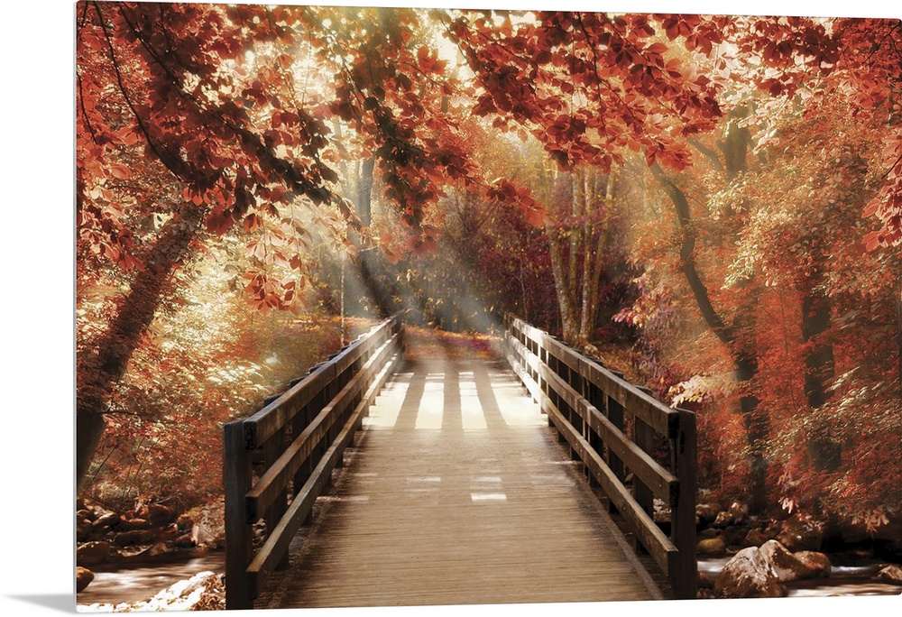 Photograph of a bridge going over a creek in woods covered in red Fall trees with beautiful sunlight.