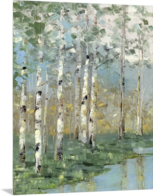 Birch Reflections I