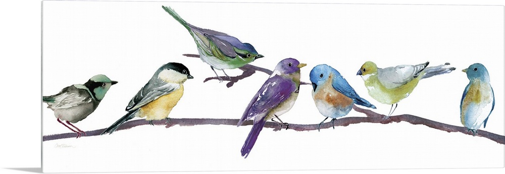 Brightly colored songbirds perched in a row on a branch.