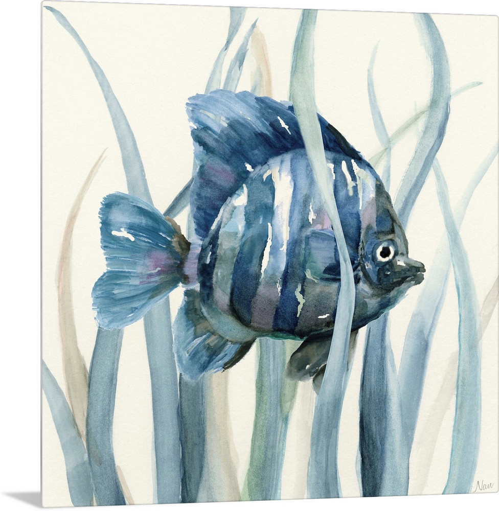 Square indigo watercolor painting of a fish underwater in seagrass on an off white background.