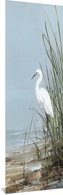 Island Egret II