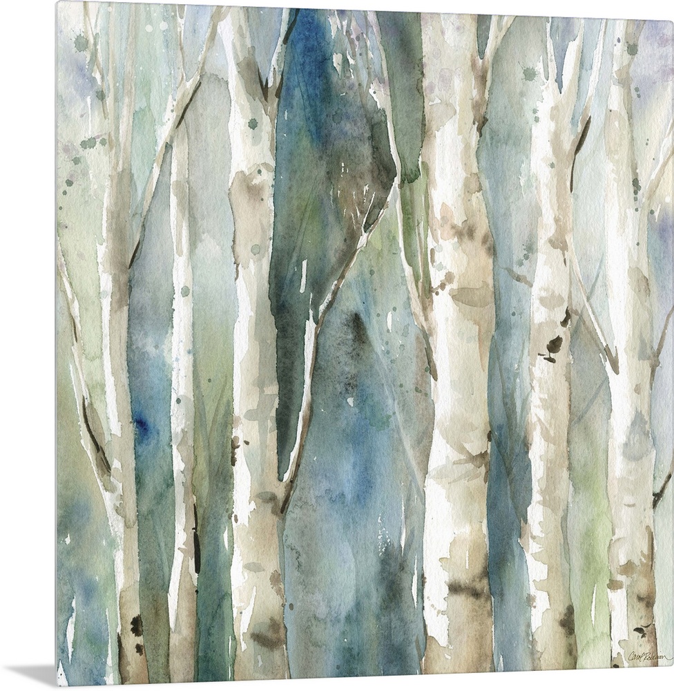 Square watercolor painting of Birch trees with a blue and green toned background.