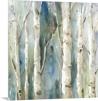 River Birch I