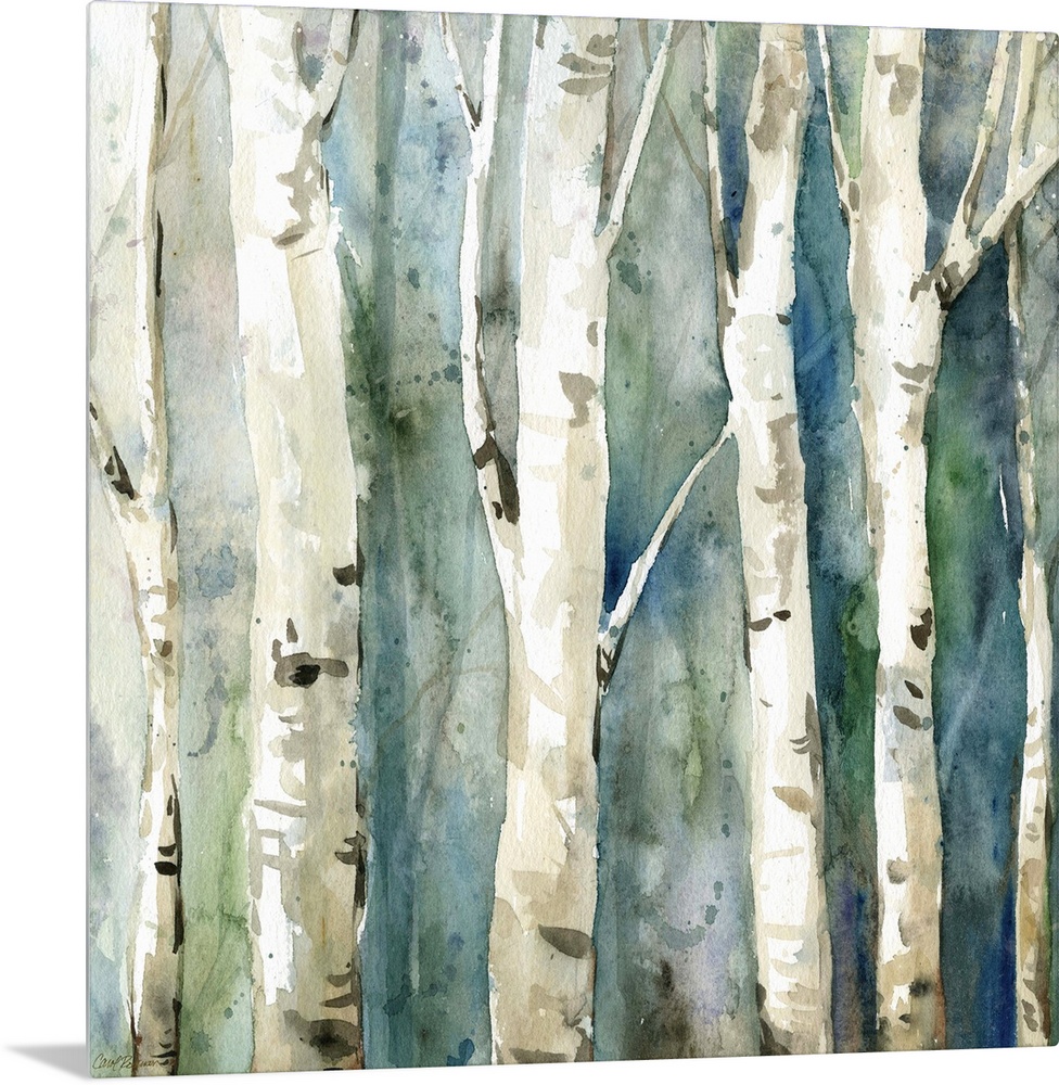 Square watercolor painting of Birch trees with a blue and green toned background.